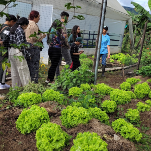 Tour "Sembrando para la Vida"