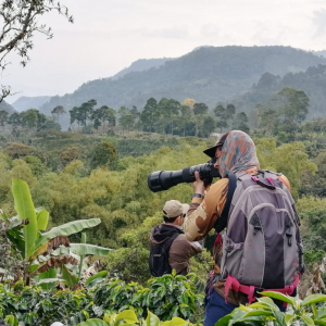 Aprendiendo de las Aves