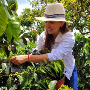 Tour Paseo por la Cultura Cafetera